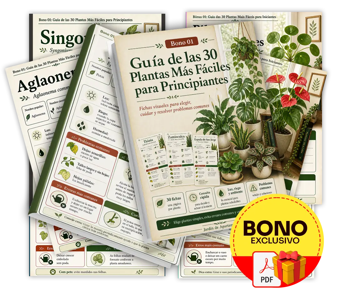 Mockup del bono 1