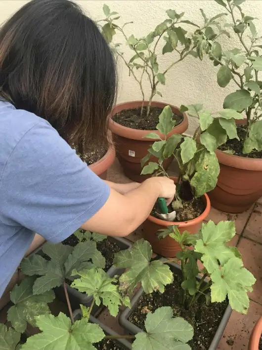 Material de Jardín en Apartamento en uso 1